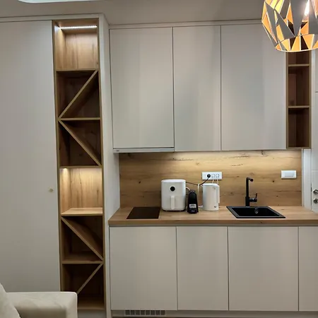 Mona Luxury - Free Garage Parking 塞拉耶佛